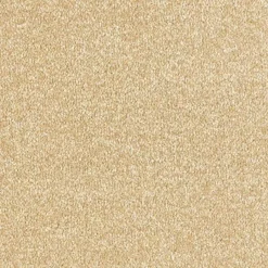 Best Arena Plus In Corn Carpet Hall, Stairs & Landing Carpets | Bedroom Carpets