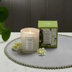 Hot Jasmine & Tuberose Scented Jar Candle Candles & Diffusers