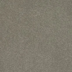 Best Day Dreams In Well Dressed Carpet Hall, Stairs & Landing Carpets | Bedroom Carpets