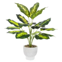 Hot Dieffenbachia in Ceramic Pot Artificial Flowers