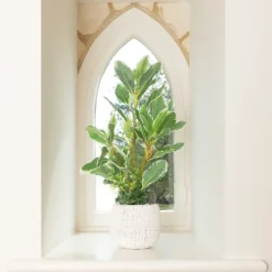 Fashion Euonyms In a Ceramic Pot Artificial Flowers