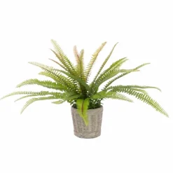Hot Fern in ceramic basket Artificial Flowers