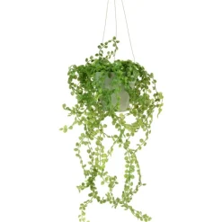 Hot Hanging Button Leaf Trailer Pot Artificial Flowers