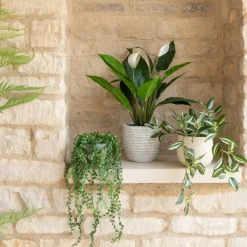 Hot Hanging Button Leaf Trailer Pot Artificial Flowers