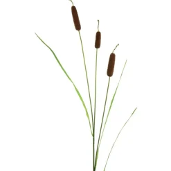 Online Large Bull Rush Artificial Flowers