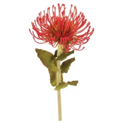 Outlet Orange Pin Cushion Protea Artificial Flowers