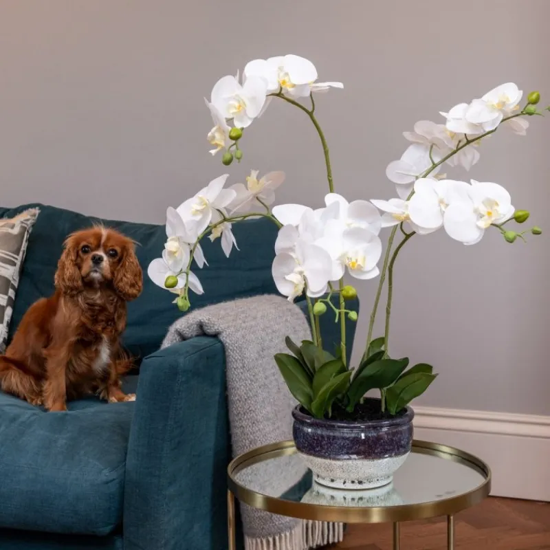 Fashion Orchid in Mottled Pot Artificial Flowers