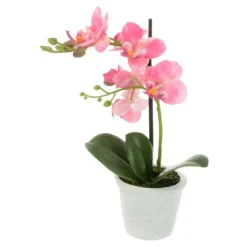 Online Phalaenopsis in Pot Artificial Flowers