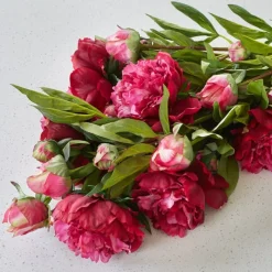 Clearance Single Cerise Peony Artificial Flowers