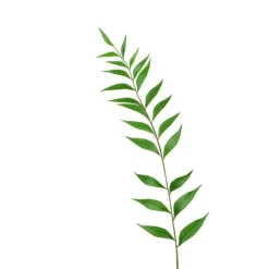 Clearance Sword Leaf Fern Single Artificial Flowers