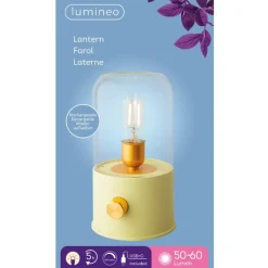 Online LED Rechargeable Indoor Camp Light Green Table Lamps