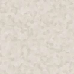 Clearance Moods Hexagon Mono 614 Moduleo | Luxury Vinyl Tiles