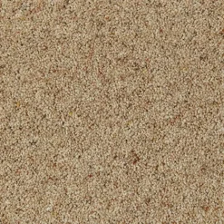 Clearance Natural Berber In Chamois Carpet Hall, Stairs & Landing Carpets | Bedroom Carpets