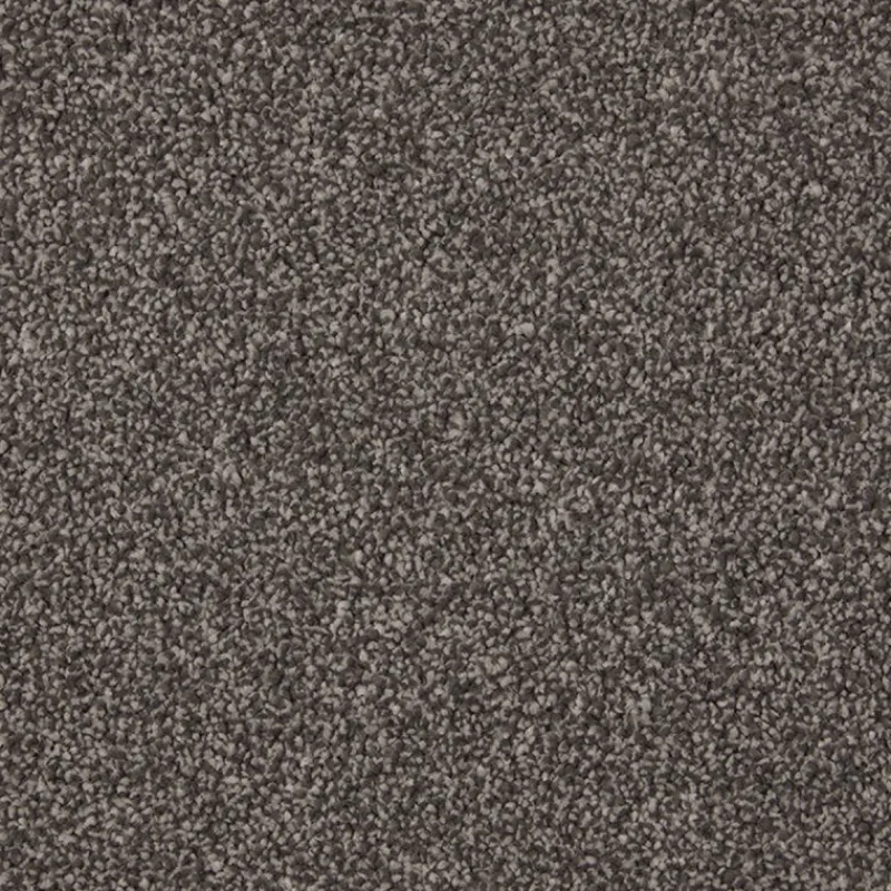 Hot Rothesay In Carbon Carpet Living Room Carpets | Hall, Stairs & Landing Carpets