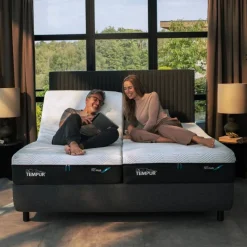 Online Arc Adjustable Disc Bed Bed Frames