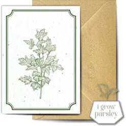 Clearance Petersilie Greetings Card Stationery