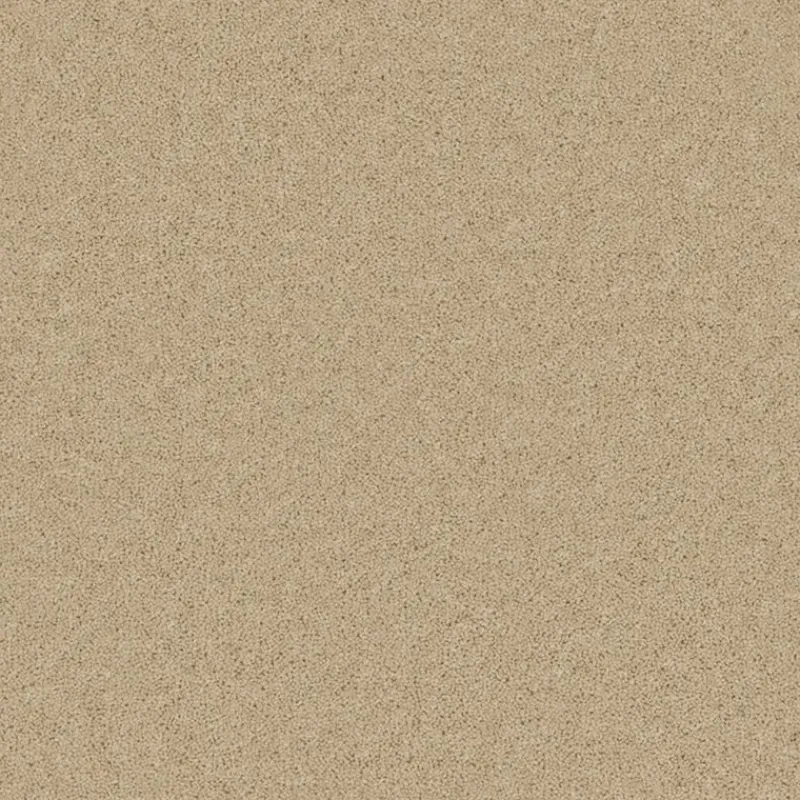 Sale Timeless Deluxe Carpet in Light Lace Hall, Stairs & Landing Carpets | Bedroom Carpets