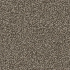 Best Trentino Elite Carpet in Molasses Hall, Stairs & Landing Carpets | Bedroom Carpets