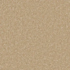 Best Trentino Elite Carpet in Hayseed Hall, Stairs & Landing Carpets | Bedroom Carpets