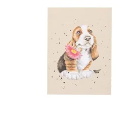 Clearance Just For You Basset Hound A6 Notebook Stationery