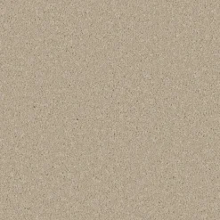 Best Zenith carpet in Yorkstone Hall, Stairs & Landing Carpets | Bedroom Carpets